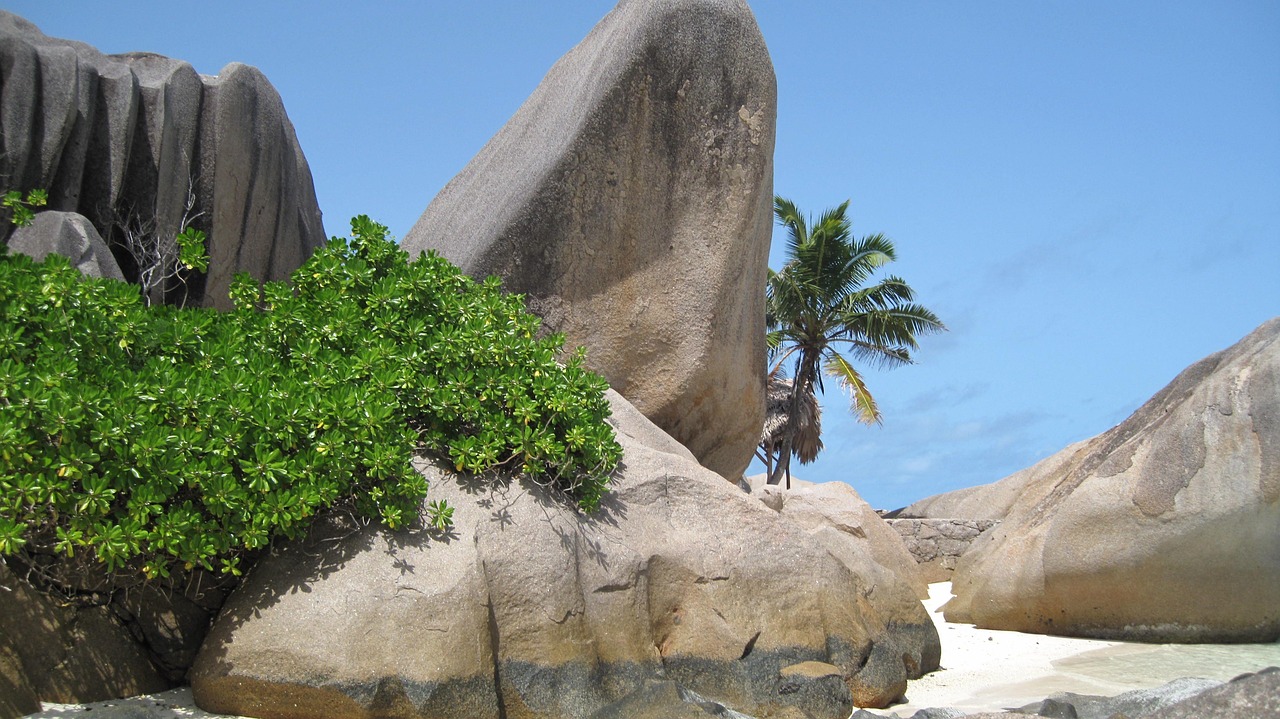Granite boulders and tropical shoreline in Seychelles