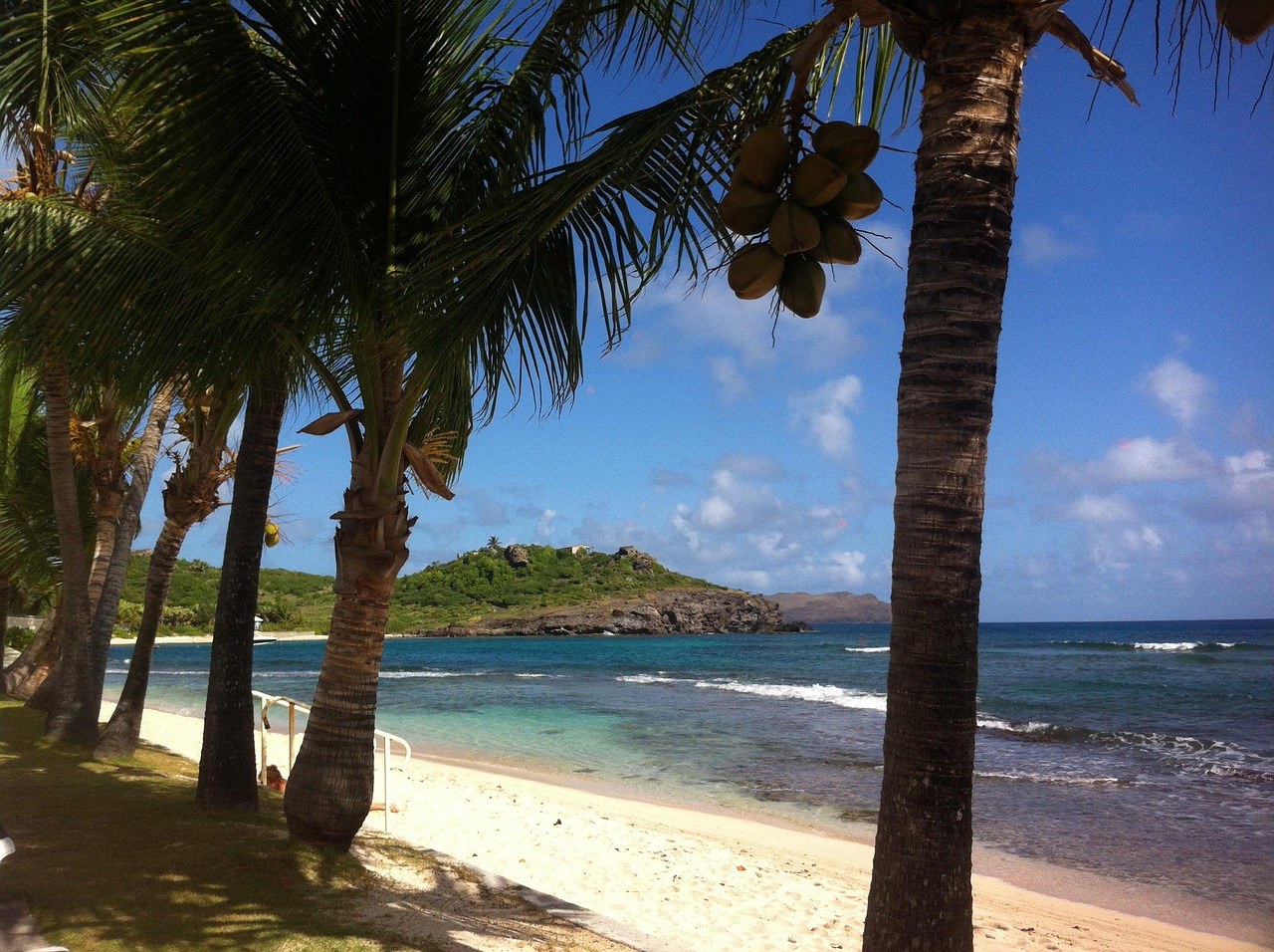 Palm-lined beach and ocean in St. Barts